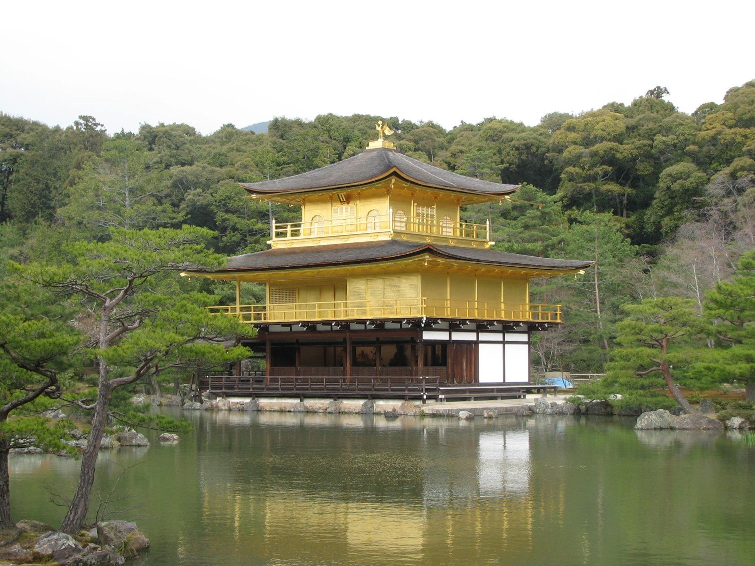 Kinkaku-ji Golden Temple photographed during Lean TPS immersion training in Japan, representing reflection, learning, and continuous improvement.